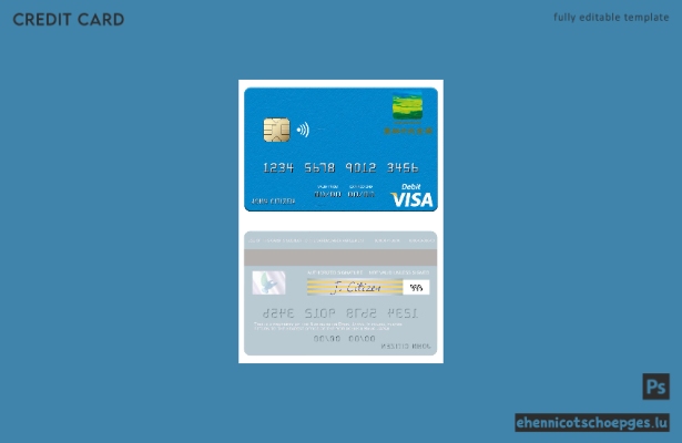 Beispielvorschau der Visa-Debitkarte der japanischen Norinchukin Bank